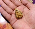 龍婆坤佛歷2524草藥兔耳必打佛
