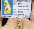 龍婆樂恩 佛歷2440小老虎（距今122年） 冠蘭類圣物