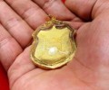龍婆doo2528四面神